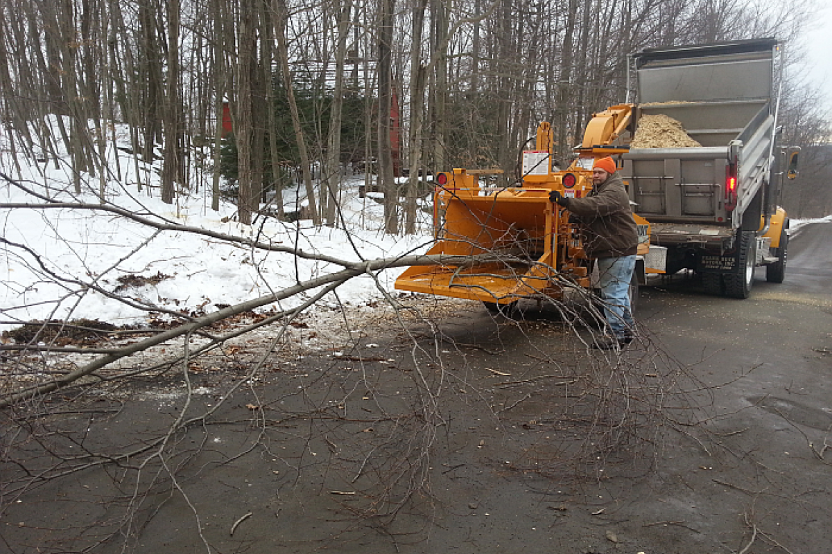Tree removal along Velview Drive: man standing next to chipper - large trunk being fed in.